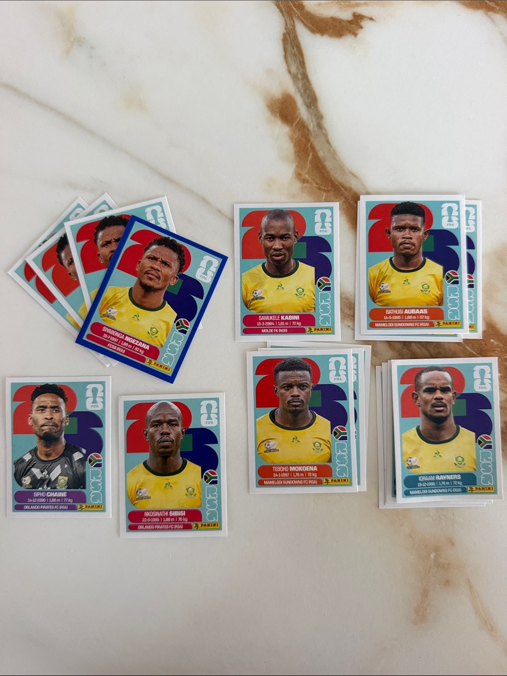 Panini FIFA South Africa (RSA)